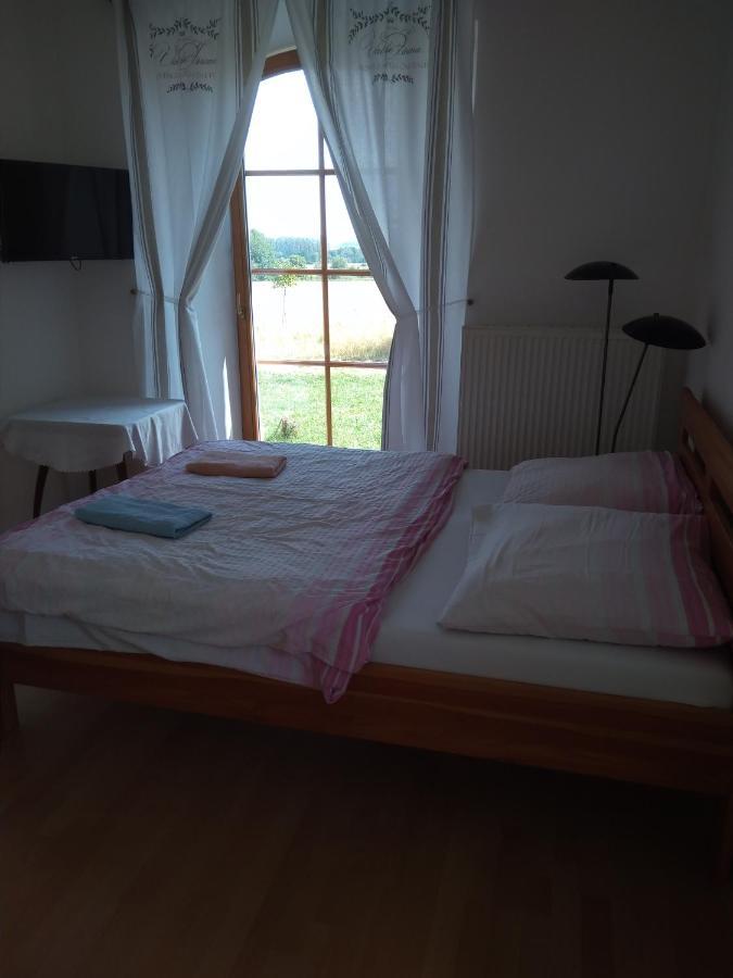 Appartamento Dvůr v Borovné Borovná Esterno foto