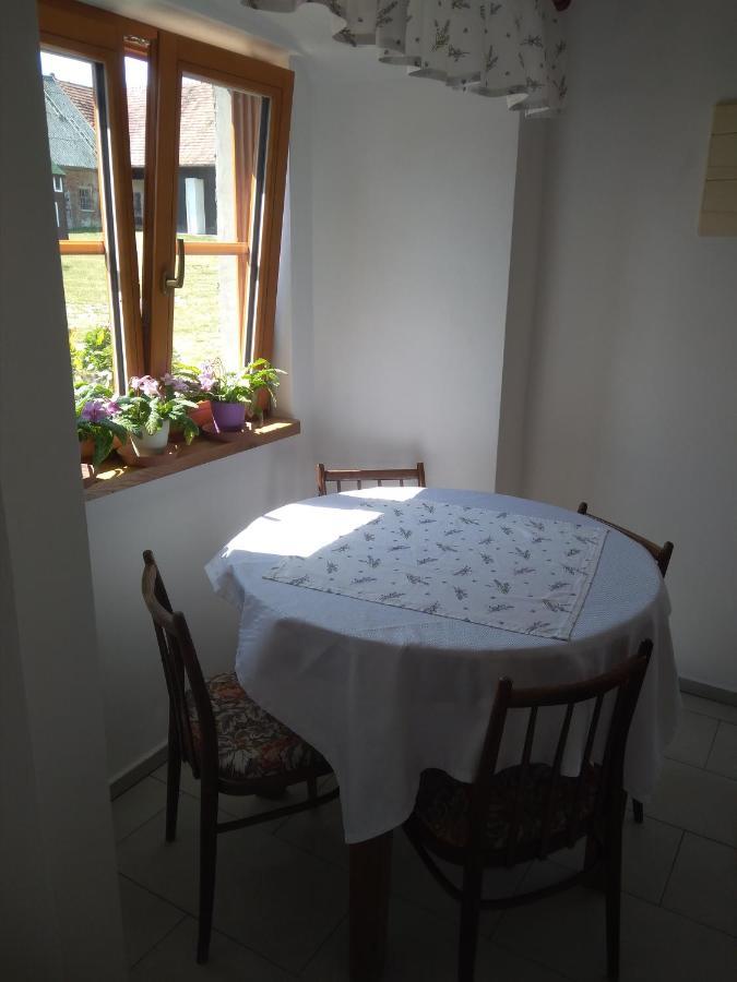 Appartamento Dvůr v Borovné Borovná Esterno foto