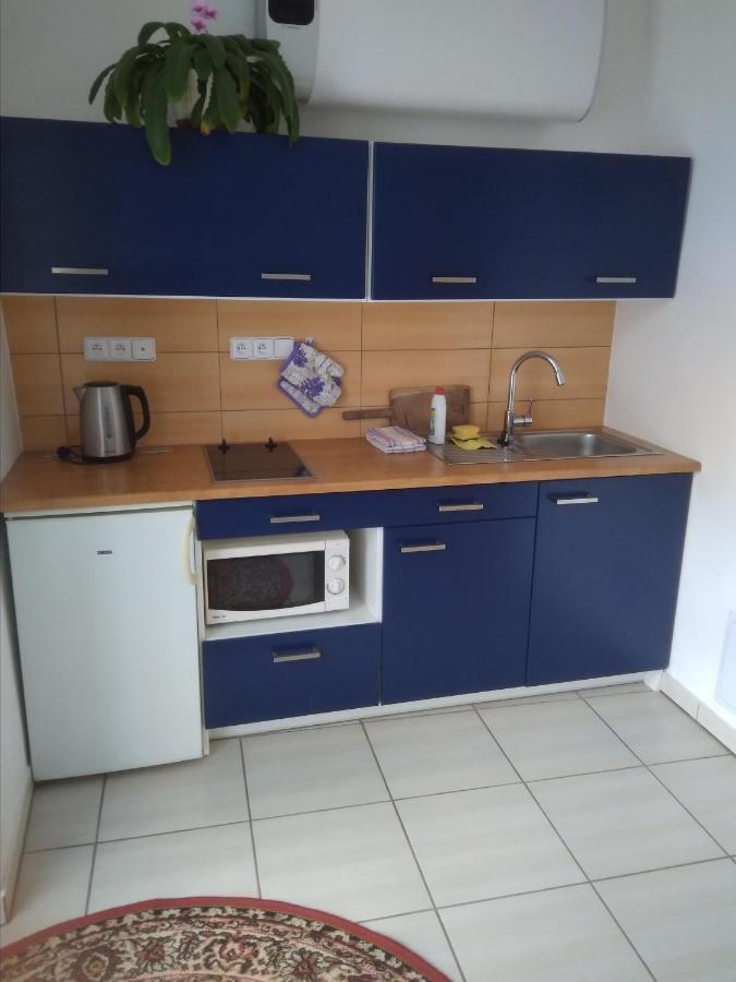 Appartamento Dvůr v Borovné Borovná Esterno foto