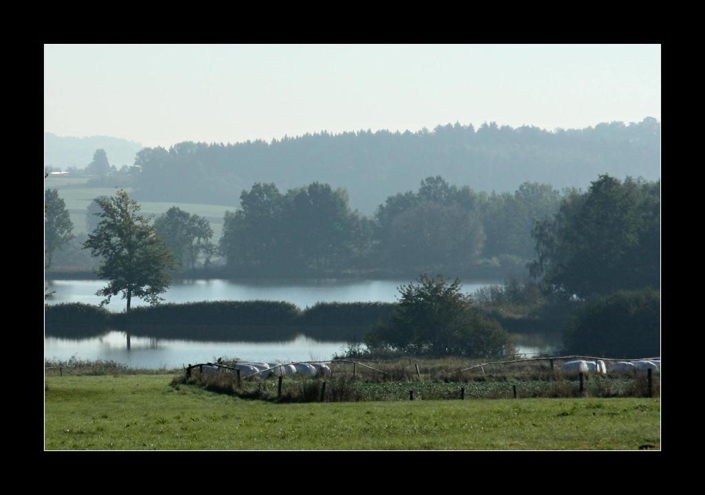 Appartamento Dvůr v Borovné Borovná Esterno foto